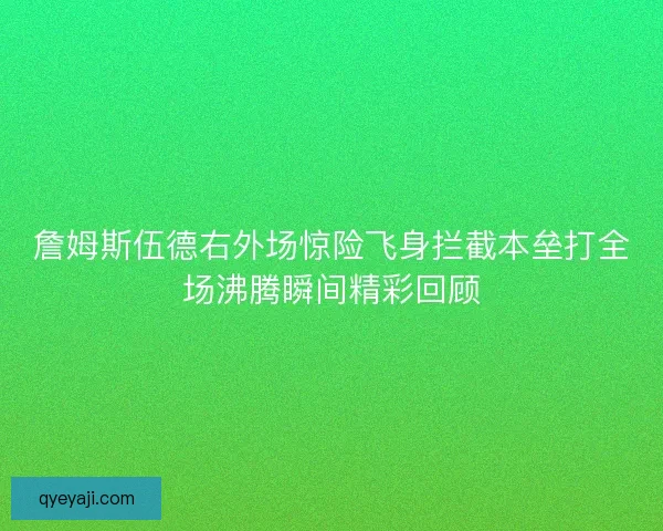 詹姆斯伍德右外场惊险飞身拦截本垒打全场沸腾瞬间精彩回顾