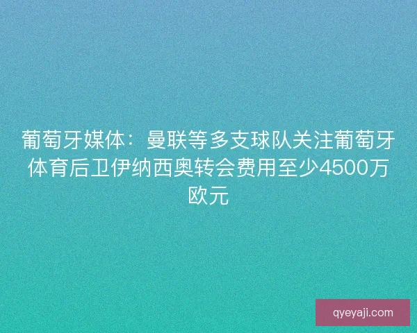 葡萄牙媒体：曼联等多支球队关注葡萄牙体育后卫伊纳西奥转会费用至少4500万欧元