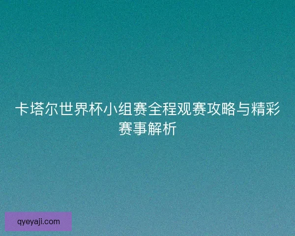 卡塔尔世界杯小组赛全程观赛攻略与精彩赛事解析