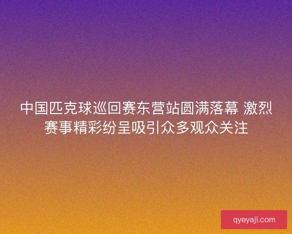 中国匹克球巡回赛东营站圆满落幕 激烈赛事精彩纷呈吸引众多观众关注